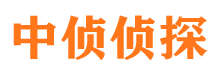 成安婚外情调查取证